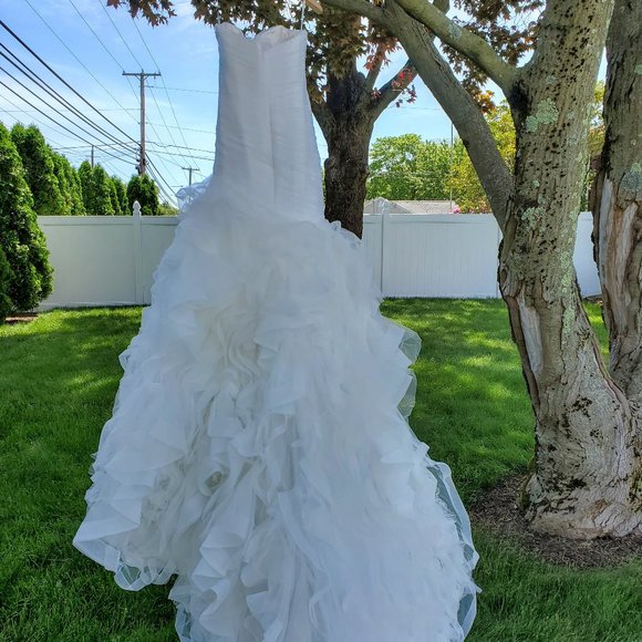 Pronovias Mildred Wedding Gown